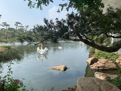 -罗红摄影艺术馆