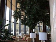 -新都绿城喜来登酒店大堂吧