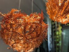 -发现花馆西餐厅FA Restaurant