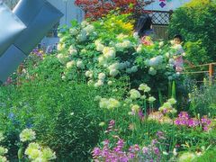 -深圳仙湖植物园