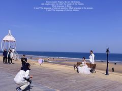 -巧克力渔家.小船海鲜家常菜(万平口店)