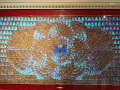 -上海昆虫博物馆