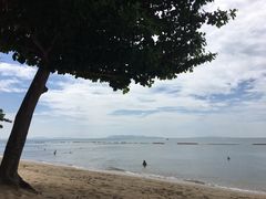 -乔木提恩海滩