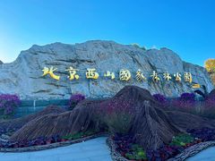 -北京西山国家森林公园