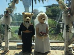 -济州岛泰迪熊博物馆