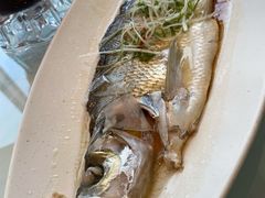 清蒸太湖白鱼-翡翠江南(国贸商城店)