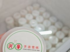 -洪馨椰子