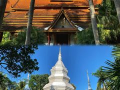 -西双版纳傣族园