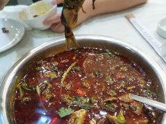 -高坎一品甲鱼庄(两河店)