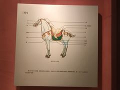 -西安大唐西市博物馆