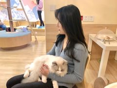 -滚猫咖啡·猫咖·猫友好撸猫(未来城店)