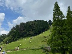 -神户市立六甲山牧场
