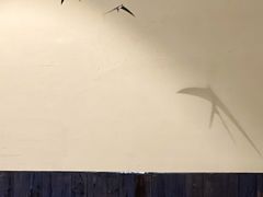-灶咖KITCHEN
