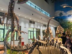 -自贡恐龙博物馆