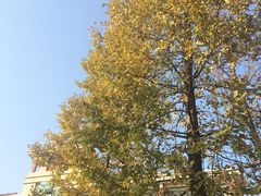 -江南大学(蠡湖校区)