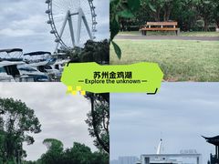 -金鸡湖景区