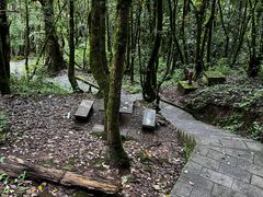 -巍山古城