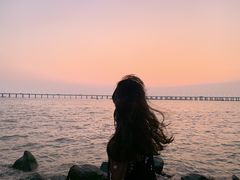 -宝安西湾红树林湿地公园