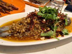 -杨氏青龙虾·羊蝎子(托乐嘉店)