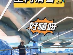 -Hopo Snow 城市滑雪空间(滨江宝龙城店)
