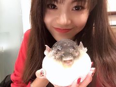 -肆月河豚·新淮扬(金融街店)
