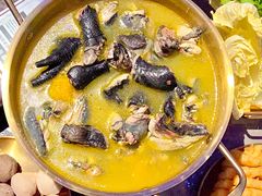 -Darling Queen·Mini·Live·House