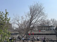 -糖房咖啡(南锣鼓巷店)