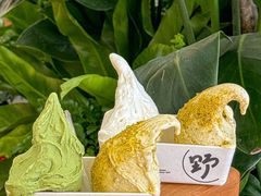 -野人先生Gelato(上海长宁龙之梦店)