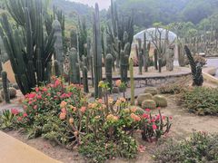 -深圳仙湖植物园