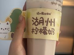 柠檬奶-猫的魔法密林(衣裳街店)