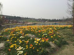 -秀丽东方