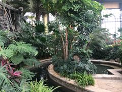 -郑州银基黄帝宫御温泉