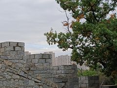 -北山公园