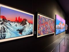 -罗红摄影艺术馆