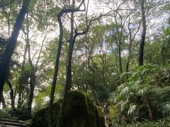 -青城山