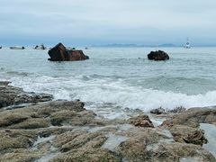-小麦岛公园