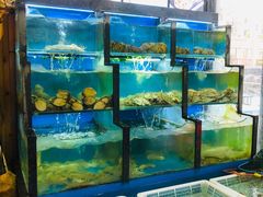 水产区-老东镇啤酒屋海鲜加工·蒸汽海鲜·海鲜烧烤(台东店)