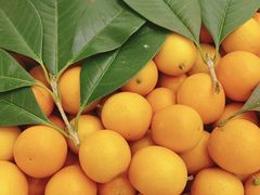 -上海龙吴水胜海发市场