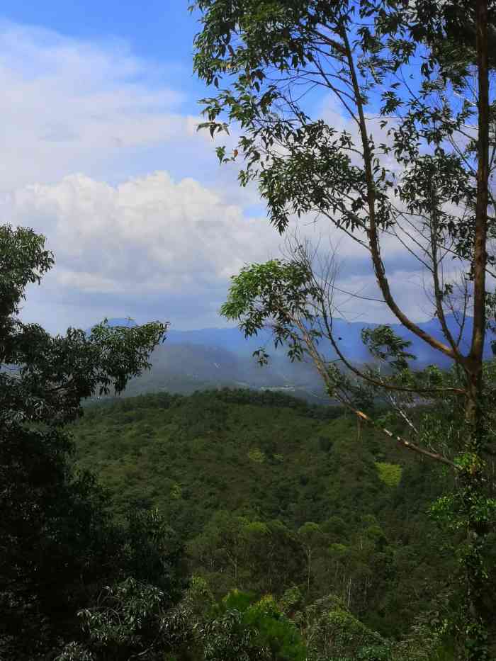 古劳茶山-"这个.这个茶山村原来是本地著名的避暑胜地.