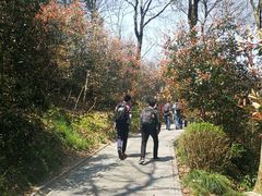 -上海佘山国家森林公园西佘山园