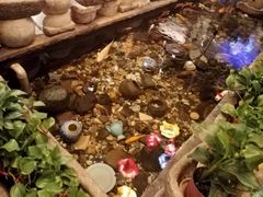 -有梦特色餐厅(古子城店)