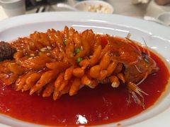 -丁老爷子苏香圆