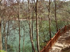 -玉渡山自然风景区