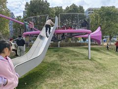 -春花秋色城市公园