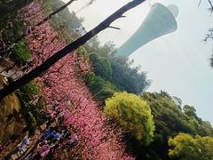-狐尾山公园