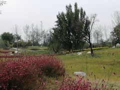 -汉长安城未央宫国家考古遗址公园