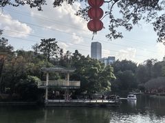 -晓港公园