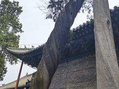 -关林