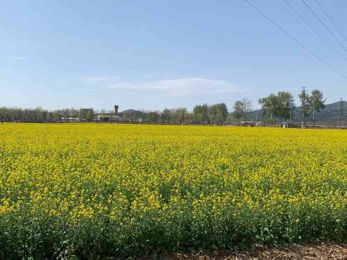 北京市平谷区峪口镇大官庄老年活动中心-"谷雨已过,东风解冻,草木萌动