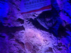 -周口店北京人遗址公园